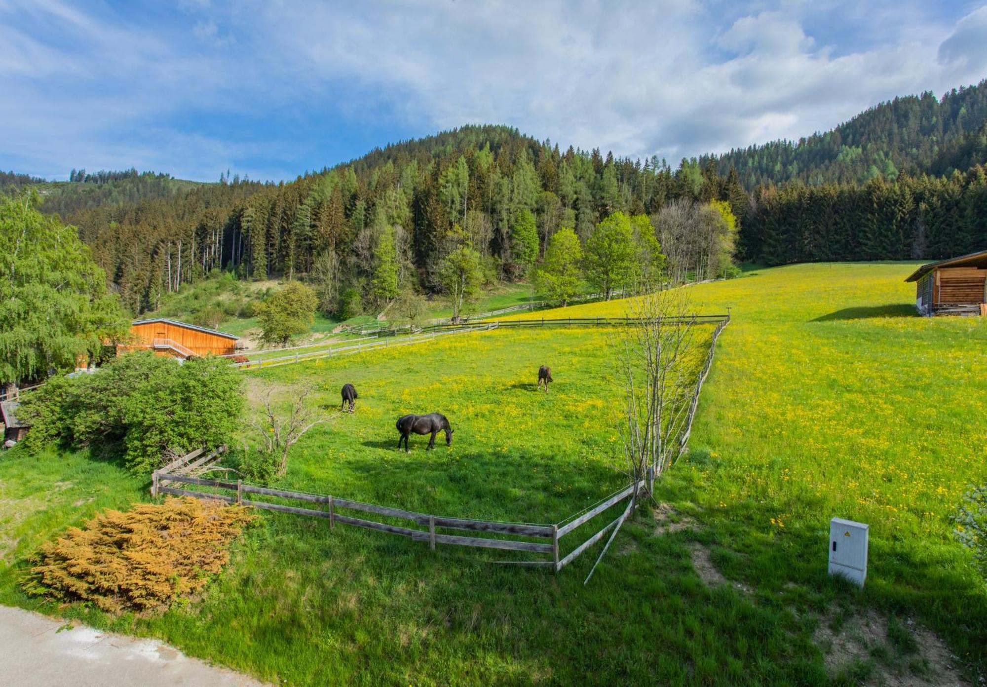 Huberhof 8 By Alpenidyll Apartments Schladming Exterior foto